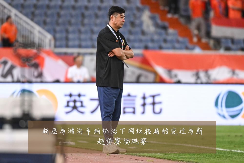 断层与鸿沟辛纳统治下网坛格局的变迁与新趋势赛场观察